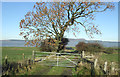 Farm track off Accrington Road (A679)