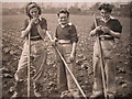 Land girls 1942 near Scarborough