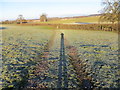 SJ3623 : Farm Track and Photographers December shadow at Shelvock by Peter Wood