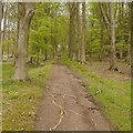 Path up Wapley Hill