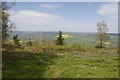 Northward view from Wapley Hill