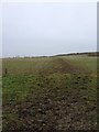 Footpath to Shipston on Stour