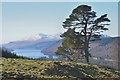 NN7946 : Prospect of Loch Tay by Jim Barton