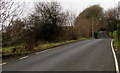 Undulating road south of Trinant