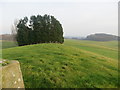 View from Wirswall Triangulation Pillar