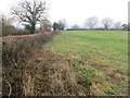 Hedge line and field view from Alkington Grange Triangulation Pillar