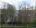 Houses on Fraser St seen through trees