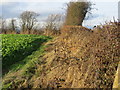 Field edge view at The Edge Triangulation Pillar