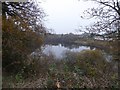 Blue Waters Pond