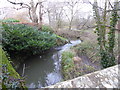 Looking north from bridge over stream on Mill Lane