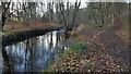 Footpath next to River Wansbeck in Wallington Hall grounds