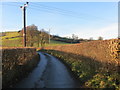 Hedge enclosed lane from Derwen-deg to Rhyleos