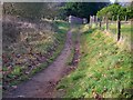 Footpath towards Quarry Park Road