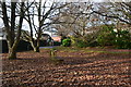 Fallen leaves beside Fox Pound Lane