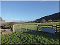 Sheep pasture at Bachaethlon, Powys