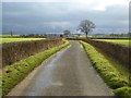 SO8841 : Road to Hill Croome by Philip Halling