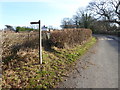 Looking along Fryland Lane from footpath junction