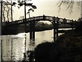 SO8844 : Silhouetted Chinese Bridge by Philip Halling