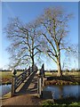 SO8844 : Chinese Bridge, Croome Park by Philip Halling