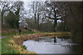 Mid Devon : The Grand Western Canal