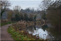 ST0013 : Mid Devon : The Grand Western Canal by Lewis Clarke