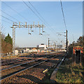 Cambridge North Station taking shape