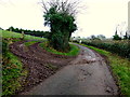 Muddy entrance to field, Mullaghmore