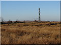 Transmitter mast near Mountain Air Gate