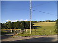 Fields by Pett Road, Borden Hill