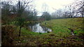 Pond alongside Whitehouse Lane, 3