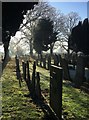 In the churchyard - St Mary