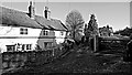 Frosty lane, Great Dunmow