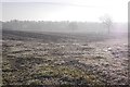 SJ3521 : Frosted field. Knockin Heath by Richard Webb