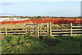 Ayrshire Coastal Path