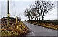 Road to Careston at Muir of Montboy