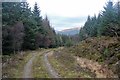 NS0682 : Forest road above Glen Tarsan by Alan Reid