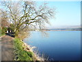 The lakeside path, Hollingworth Lake