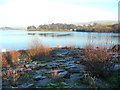 Rocky shore, Hollingworth Lake