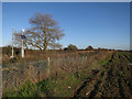 Railway from Bury St. Edmunds