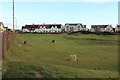 Prestwick St Nicholas Golf Course