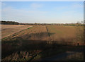 Fields by the railway