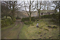 Track Leading From Darnbrook Cottage