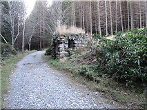 J3729 : Approaching the Annesley Grotto in Donard Wood by Eric Jones