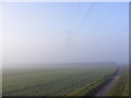 Pylon in the Mist