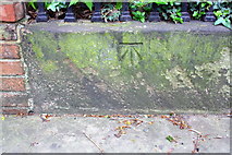 SK7953 : Benchmark on wall of path through St Mary's Church churchyard by Roger Templeman