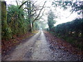 Lane near Nutley Windmill