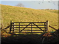 5 bar gate above Carron Linns, Durisdeer