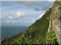 SS6949 : Jenny's Cove viewpoint 5 - Lee Abbey, North Devon by Martin Richard Phelan