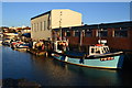 Fishing boat at Salterns Marina