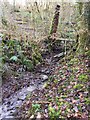 Footbridge and Stream